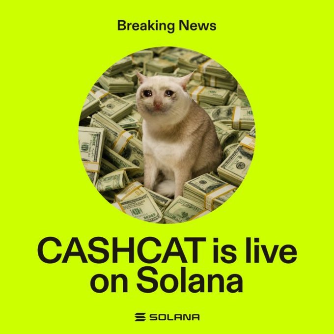 A promotional graphic on a neon yellow background features a cat sitting in piles of money with the text 'Breaking News CASHCAT is live on Solana' and the Solana logo.