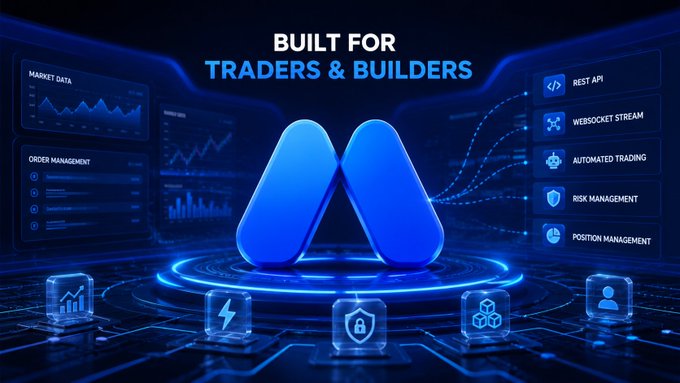 A sleek, futuristic graphic titled "BUILT FOR TRADERS & BUILDERS" showcases a large blue "M" logo at the center, surrounded by feature panels including "MARKET DATA," "ORDER MANAGEMENT," "REST API," "WEBSOCKET STREAM," "AUTOMATED TRADING," "RISK MANAGEMENT," and "POSITION MANAGEMENT," visually representing MEXC's developer-friendly Futures API ecosystem for programmatic execution.