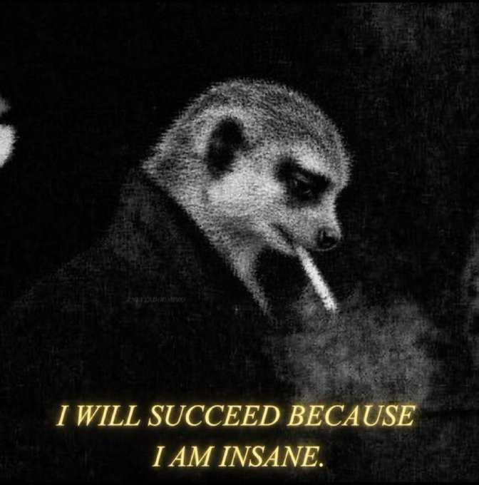 A black and white image of a meerkat smoking a cigarette with the motivational text 'I WILL SUCCEED BECAUSE I AM INSANE.'