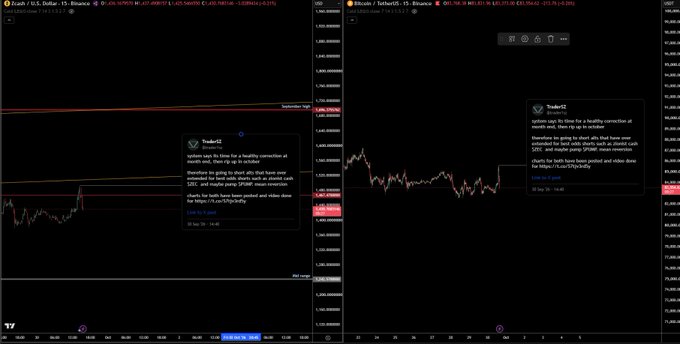 Trading charts displayed on a TradingView interface showing Zcash (ZEC) and Bitcoin (BTC) prices against the US Dollar on Binance.