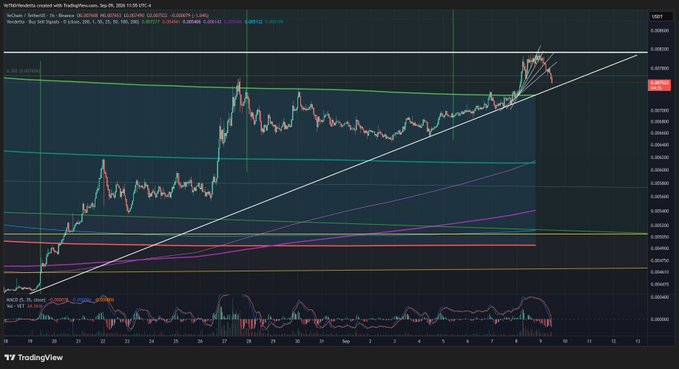 A cryptocurrency trading chart for VeChain (VET/USD) on TradingView, showing an uptrend with various moving averages and an MACD indicator.
