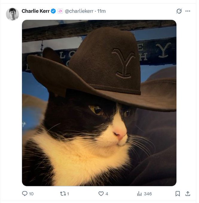 A screenshot of a tweet by Charlie Kerr (@charliekerr) featuring the same photograph of the cat wearing the cowboy hat, with 10 replies, 1 retweet, 4 likes, and 346 views.