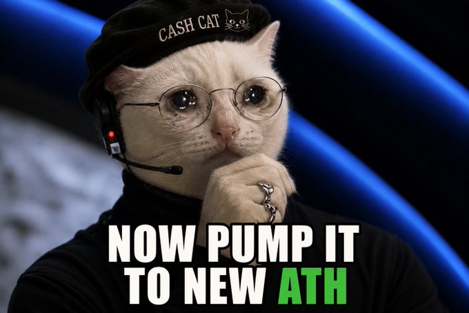 A white cat wearing glasses, a 'CASH CAT' beanie, and a headset with text reading 'NOW PUMP IT TO NEW ATH' against a blue background.