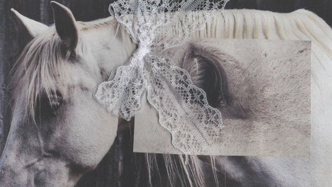 A surreal collage featuring a white horse's head decorated with white lace, alongside an inset image of a horse's eye.