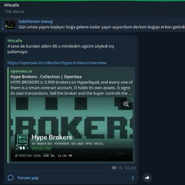 The image shows a Discord message in the "Hitcalls" channel, where a user named Sabitlenen mesaj shares an OpenSea link for the "Hype Brokers" NFT collection, noting that all 3,999 brokers are sold out and the broker holders control its owner assets. This relates to the post about setting up a mint bot to farm free Hype Brokers NFTs at no cost, with the user planning to hold their minted tokens in Inkbrokers and Arbbrokers.