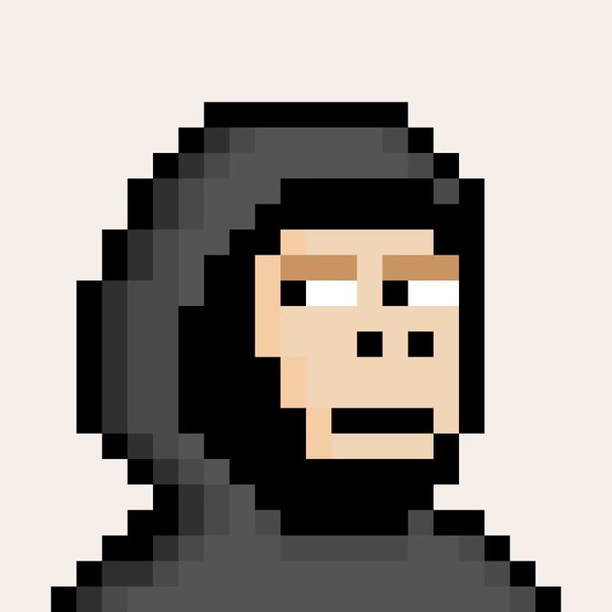 A low-resolution pixel art character with dark hair wearing a gray hooded garment, featuring a blank stare.