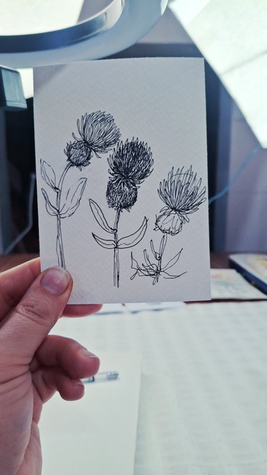 A hand holds a small card featuring a black ink sketch of thistle-like flowers on textured paper.