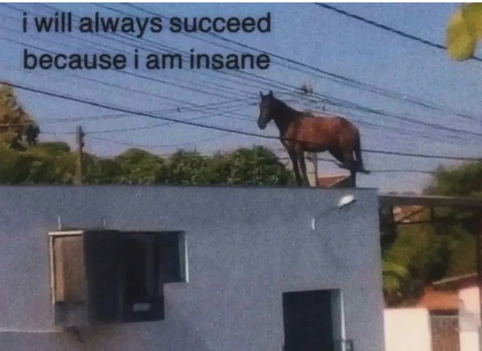 A horse stands on a rooftop against a power line-filled sky, with meme text reading 'i will always succeed because i am insane.'