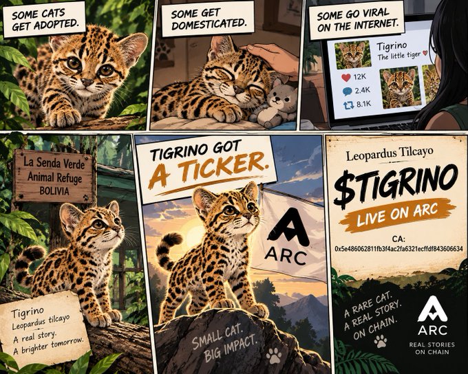A comic-style promotional graphic for $TIGRINO (Leopardus Tilcayo) showing a small tiger cub named Tigrino at La Senda Verde Animal Refuge Bolivia, with text panels reading 'SOME CATS GET ADOPTED', 'SOME GET DOMESTICATED', 'SOME GO VIRAL ON THE INTERNET', 'TIGRINO GOT A TICKER', 'TIGRINO LIVE ON ARC', and 'A RARE CAT. A REAL STORY. ON CHAIN.'