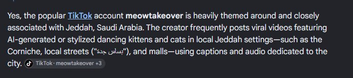 A text excerpt stating that the TikTok account 'meowtakeover' is themed around Jeddah, Saudi Arabia, featuring viral videos of dancing cats in local settings like the Corniche and malls.