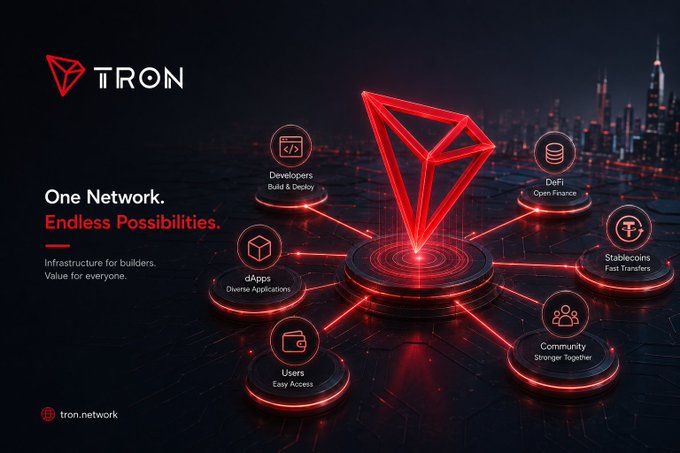 The image is a promotional graphic for the TRON blockchain network, featuring the tagline "One Network. Endless Possibilities. Infrastructure for builders. Value for everyone." alongside a red TRON logo symbolizing a central network connected to six surrounding nodes labeled Developers (Build & Deploy), DeFi (Open Finance), Stablecoins (Fast Transfers), Community (Stronger Together), Users (Easy Access), and dApps (Diverse Applications)—visually reinforcing the post's emphasis on the infrastructure needed to support developers, users, and projects within the blockchain ecosystem.
