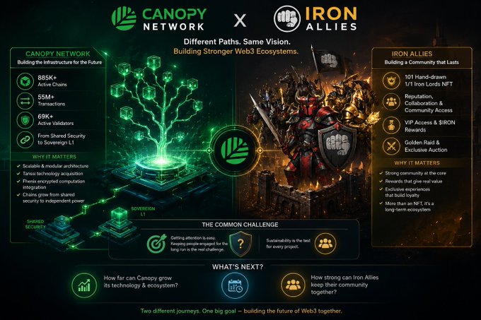 An infographic for a partnership between Canopy Network and Iron Allies, titled 'Different Paths, Same Vision,' comparing their respective ecosystems, values, and community goals in the Web3 space.