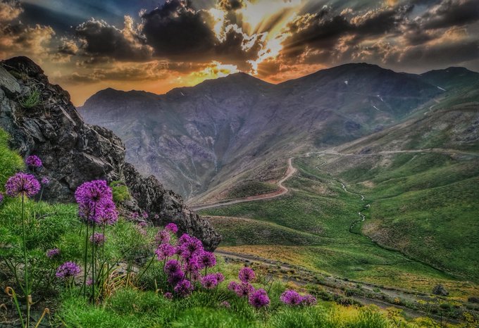 A dramatic landscape photograph of a mountainous valley at sunset with purple wildflowers blooming in the grassy foreground and a winding road visible in the distance.