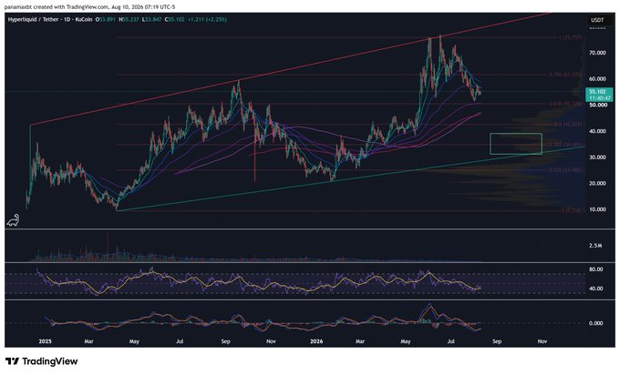 A TradingView chart showing Hyperliquid (HYPE) / Tether perpetual futures, displaying price at $53.847 (+3.215, +2.25%) with candlestick patterns and technical indicators spanning from 2023 to late 2024.