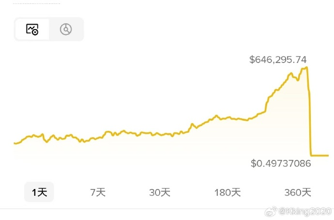 A line chart shows a price rising gradually over 360 days to a peak of $646,295.74 before crashing sharply to $0.49737086, illustrating a dramatic rug-pull pattern. The sharp decline visually reinforces the poster's reflection on financial loss, suggesting they experienced the full arc of profit and collapse.