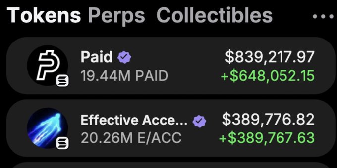 A cryptocurrency portfolio screenshot showing a Tokens Perps Collectibles section with 'Paid' (19.44M) valued at $839,217.97 (+$648,052.15) and 'Effective Acce...' (20.26M E/ACC) at $389,776.82 (+$389,767.63).
