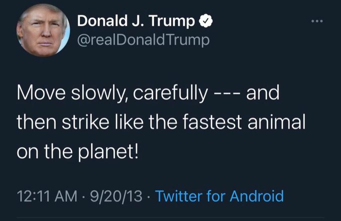 [caption-failed: flagged sensitive]