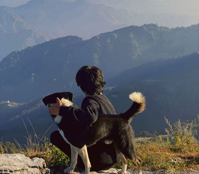 A person kneels on a rocky hillside with their black-and-white dog, both gazing out over a vast mountain valley at sunrise, symbolizing the start of a new day filled with focused progress toward the journey ahead in the listed crypto projects.