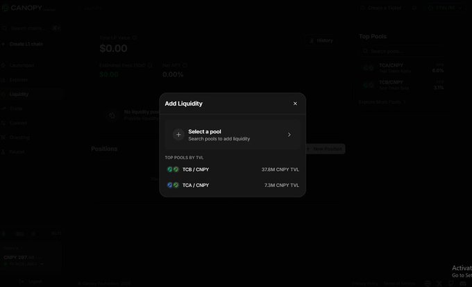 The image shows a computer screen displaying a page with information about liquidity providers, such as their account balances and the amount of capital they have paid bridge taxes across fragmented rollups. The focus of this discussion is on the current economic models that are causing fragmentation in value accrual within networks. This fragmentation leads to a disjointed network where capital flows away from the primary layer 1 token, resulting in a loss of value accrual for the primary layer. The redesign of the economic loop by forcing all parallel state aims to address this issue and improve the overall efficiency of the network.