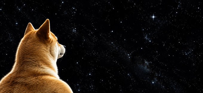 A tan Shiba Inu dog viewed from behind, gazing up at a starry night sky featuring a bright star and the Milky Way.