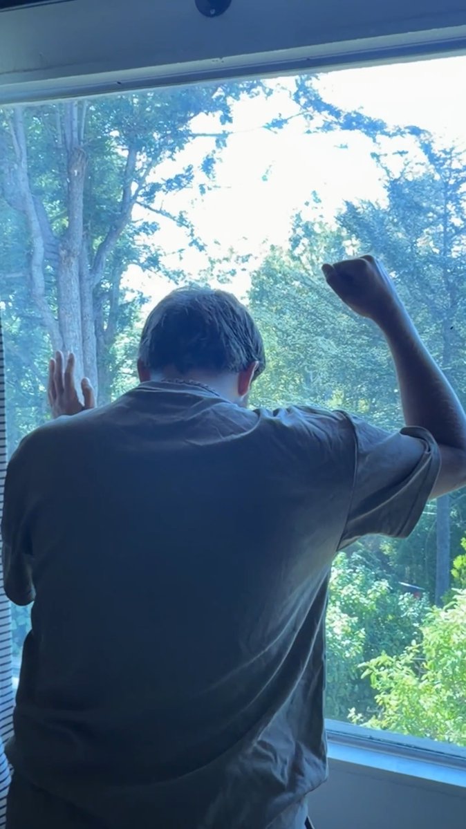 A person viewed from behind, wearing a gray t-shirt, standing at a large window with arms raised against the glass, looking out at trees and bright sunlight.