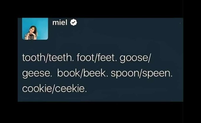 A tweet by verified user "miel" lists English pluralization pairs: "tooth/teeth. foot/feet. goose/geese. book/beek. spoon/speen. cookie/ceekie."