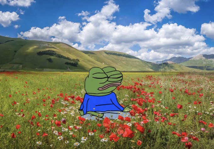 A composite image shows the cartoon character Pepe the Frog, wearing a blue shirt, sitting cross-legged in a meditative pose with closed eyes and pursed lips, superimposed onto a photographic landscape of a grassy field filled with red and white wildflowers under a blue sky with clouds.