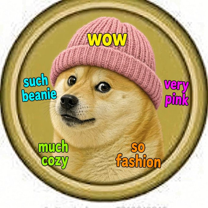 A Dogecoin-style meme features a Shiba Inu dog wearing a pink beanie inside a coin, surrounded by colorful text reading 'WOW', 'such beanie', 'much cozy', 'so fashion', and 'very pink'.