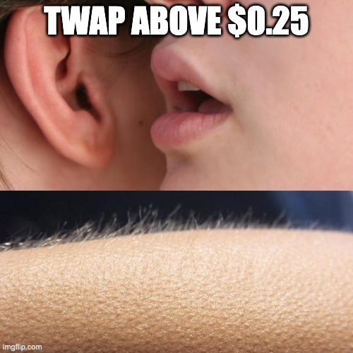 A two-panel meme: the top shows a close-up of someone whispering into another person's ear, and the bottom shows goosebumps on an arm, with overlaid text reading 'TWAP ABOVE $0.25'.