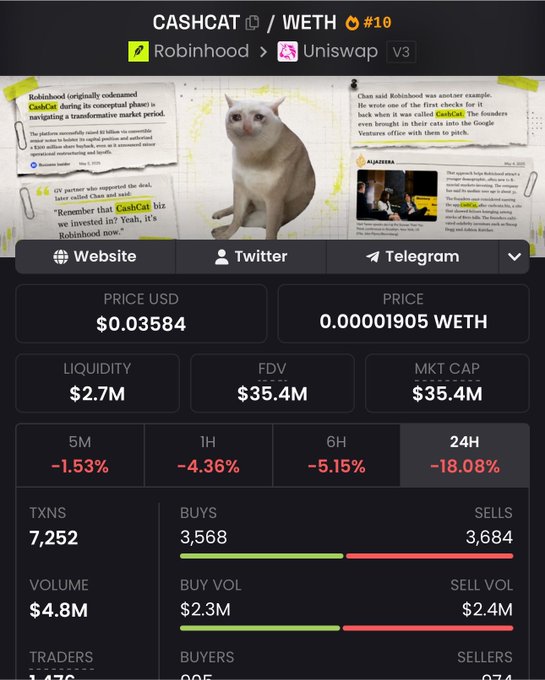 A detailed cryptocurrency analytics page for the token 'CASHCAT' paired with 'WETH' on Uniswap V3, showing a price of $0.03584 USD, $2.7M liquidity, and a 24H change of -18.08%, with a banner image of a white cat and news clippings.