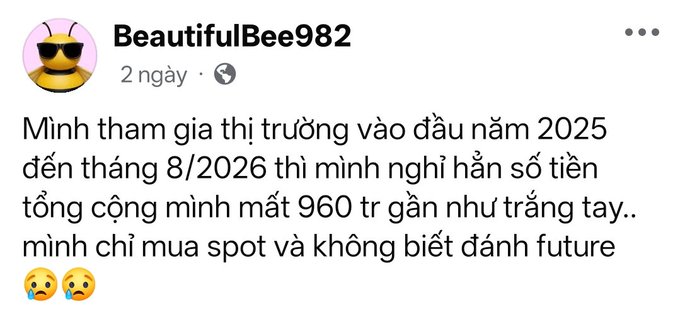 A Facebook post in Vietnamese by user 'BeautifulBee982' stating they entered the market at the beginning of 2025 and lost nearly 960 million VND by August 2026, only trading spot and not knowing how to trade futures, accompanied by crying emojis.