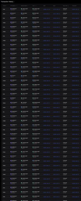 A screenshot of a 'Transaction History' interface displaying a long list of repeated transactions between two users.