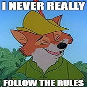 A classic Robin Hood Disney cartoon fox character with the meme text 'I NEVER REALLY' on top and 'FOLLOW THE RULES' on the bottom.