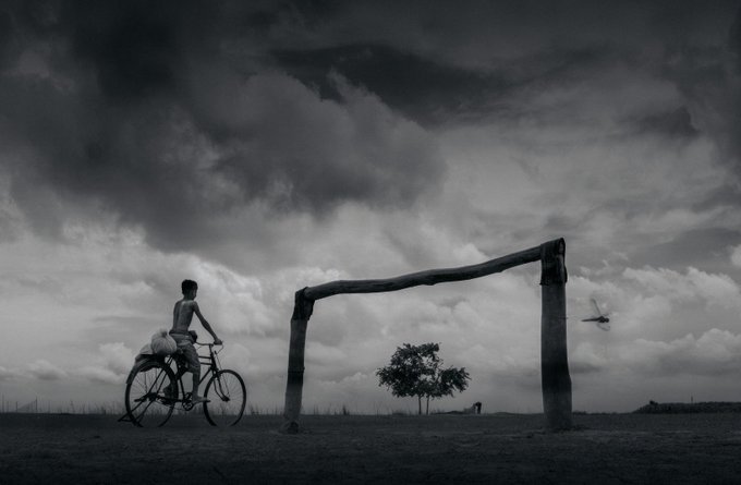The image features a man riding a bicycle through an open field with a large tree nearby. The scene also includes a bird flying above the man as he rides his bike, adding a sense of movement and life to the photograph. The photo appears to be in black and white, which enhances its artistic quality and evokes a timeless atmosphere.