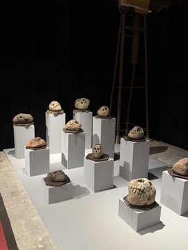 Museum or gallery display of ancient carved stone skulls/heads mounted on white pedestals against a black backdrop.