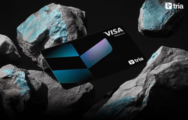 The image features a black Visa card with a blue design on it, placed on top of some rocks. The text "Visa" is written on the card, indicating that it's a credit or debit card issued by Visa. The background of the image is dark and out of focus, drawing attention to the card in the foreground. The post discussing reward programs emphasizes the importance of collective participation for their success.