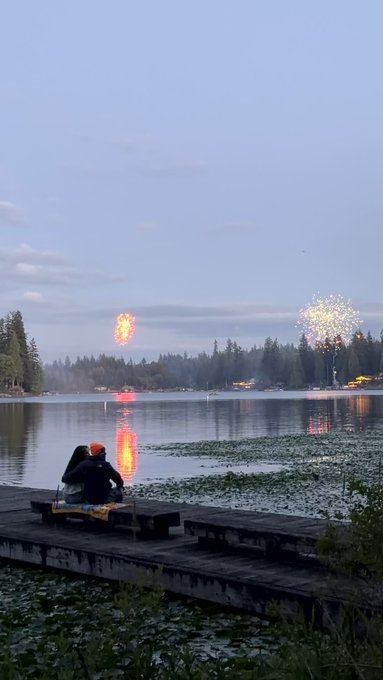 A serene lakeside scene at dusk with a person sitting on a wooden dock watching fireworks burst over the water, with lily pads floating nearby.