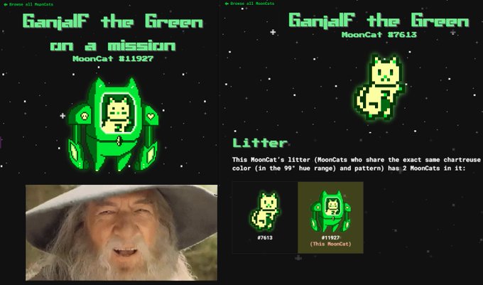 Two MoonCat NFT profiles displayed on a green pixelated interface: 'Ganjalf the Green on a mission' (#11927) with a Gandalf image, and 'Ganjalf the Green' (#7613), showing their shared 'litter'.