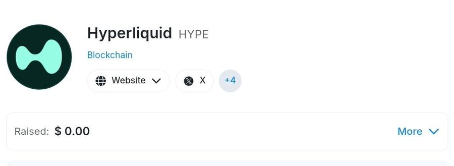 A profile listing for 'Hyperliquid HYPE' categorized under Blockchain shows a green logo, links to Website and X (with +4 more), and indicates $0.00 raised in funding.