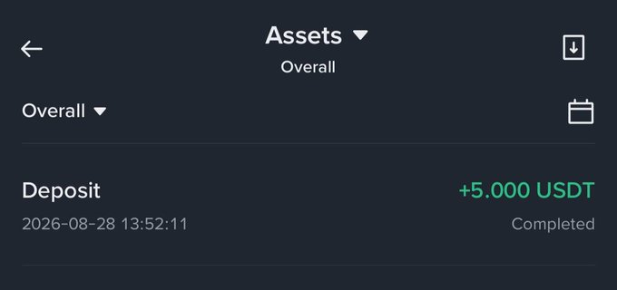 The image shows a crypto assets screen displaying a completed deposit of **+5.000 USDT** on 2026-08-28 under the "Overall" portfolio. It illustrates a positive financial move, tying into the post's upbeat theme of stacking daily wins ("Ws") in the web3/crypto space.