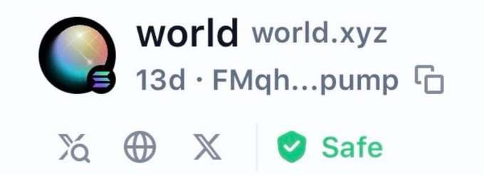 Browser/extension listing for 'world' at world.xyz, dated 13d, with the name 'FMqh...pump' and a green 'Safe' verification badge.