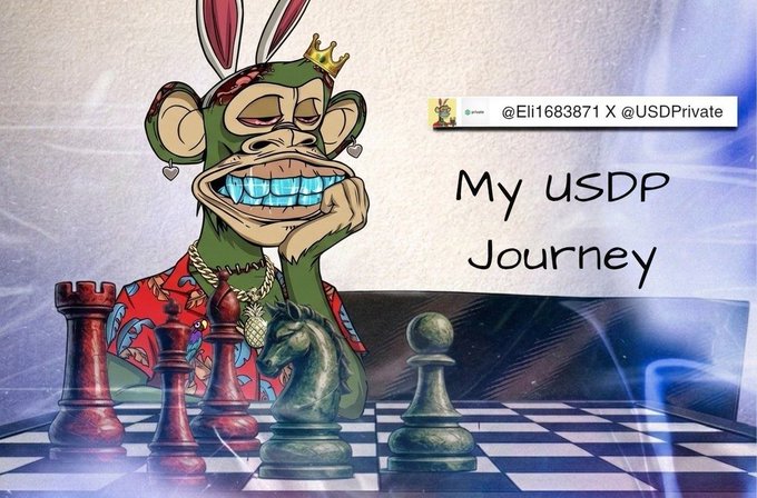 A cartoon monkey wearing a crown and gold chain sits behind chess pieces, with the text "My USDP Journey" displayed alongside the X handle "@Eli1683871 X @USDPrivate," visually reinforcing the post's theme of personally exploring and strategizing with the USDPrivate ($USDP) project before sharing opinions.