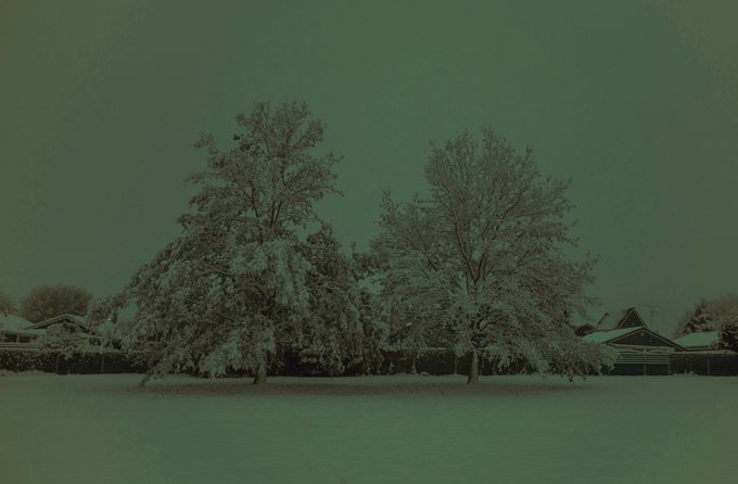 Two large snow-covered trees stand in an open snowy field on a quiet winter morning, with a house visible in the background under a muted, greenish-gray sky, capturing the serene stillness described in the caption. The image reflects the post's theme of peaceful solitude and the beauty of fresh snowfall, with the dim lighting emphasizing the "sound of silence" the author describes.