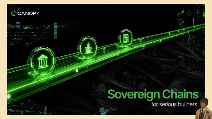 A promotional banner for Canopy features glowing green icons representing a bank, office building, and document on a futuristic track, with the text "Sovereign Chains for serious builders" and the Canopy logo. The imagery reinforces the post's message about maintaining control over assets after launch, visually representing the concept of sovereign blockchain infrastructure for serious developers.