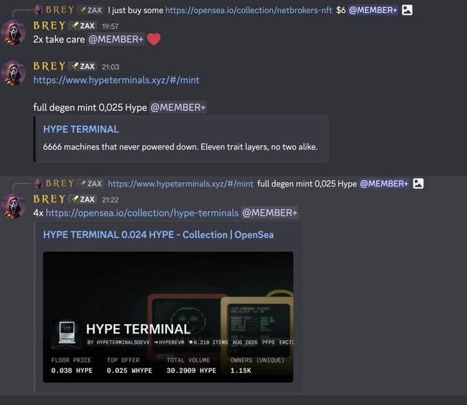 A Discord chat shows user "BREY" sharing two successful NFT trades—a 2x on Netbrokers and a 4x on HYPE TERMINAL (collection floor 0.038 HYPE, top offer 0.025 HYPE, 30.2909 HYPE total volume)—with both linked OpenSea results supporting the post's claim of quick multiplications on a Saturday.