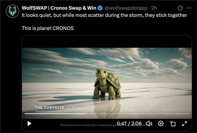 A social media post from 'WolfSWAP | Cronos Swap & Win' (@wolfswapdotapp) showing a video of an adorable animated turtle, captioned 'It looks quiet, but while most scatter during the storm, they stick together - This is planet CRONOS'.