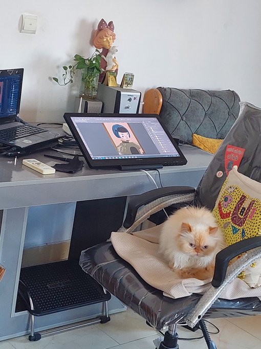 A home workspace featuring a desktop with a tablet displaying digital artwork, a laptop, and a fluffy orange Persian cat lounging on a chair with a colorful pillow.