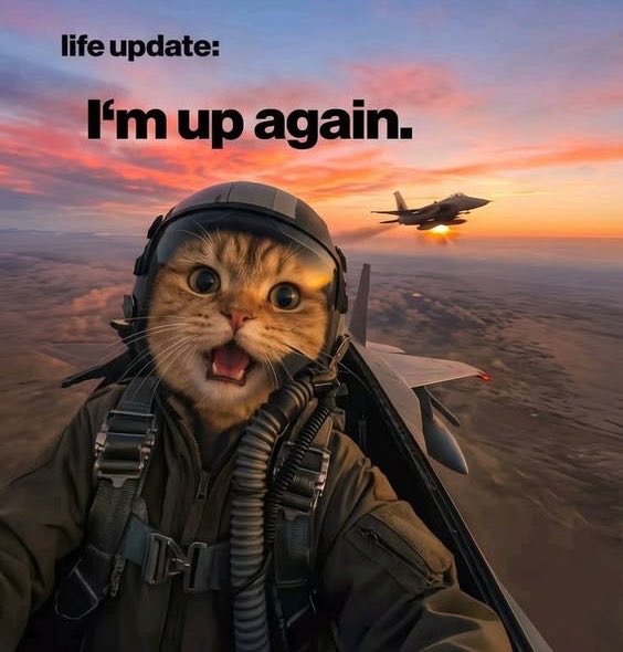 A meme image featuring a surprised cat in a fighter pilot helmet with the text 'life update: I'm up again.' and a jet plane flying in the sunset background.