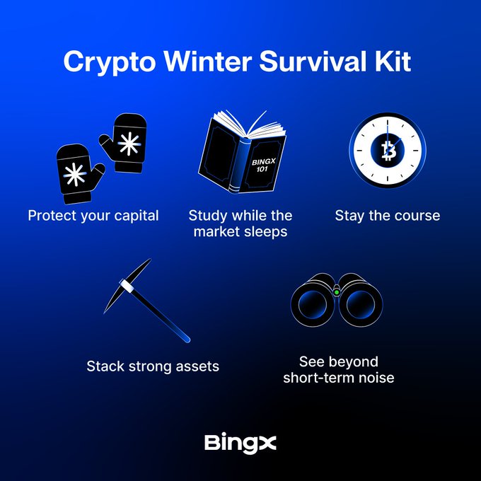 The image is a BingX-branded infographic titled "Crypto Winter Survival Kit," featuring five icons with tips: winter mittens ("Protect your capital"), a "BINGX 101" book ("Study while the market sleeps"), a Bitcoin clock ("Stay the course"), a pickaxe ("Stack strong assets"), and binoculars ("See beyond short-term noise"). The survival kit imagery directly reinforces the post's message—enduring the crypto winter requires patience, preparation, and a long-term mindset to come out ahead.