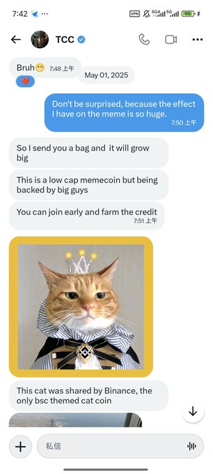 A Telegram conversation with TCC where someone promotes a low-cap memecoin, claiming 'This cat was shared by Binance, the only bsc themed cat coin' alongside an image of a cat dressed as royalty.